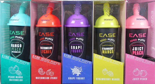 Ease Bars 8000 Puff Rechargeable Disposable – VSShop