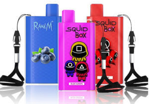 R and M Squid Box Disposable |  5200 Puffs $6.99
