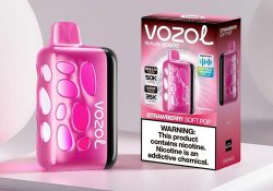 VOZOL Rave 50K Disposable