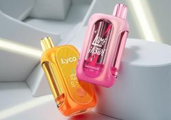 Smok Lyco Mini Box 50000 Puffs Disposable