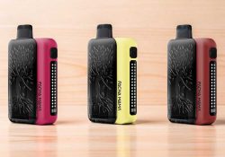 Pachamama 75K Disposable