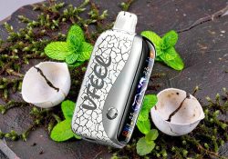 Vfeel Muse 50000 Disposable with smokeless vaporless airplane mode for stealth vaping