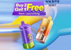 Waspe & Remit 4-in-1 disposable: buy 2, get 1 free