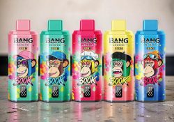 Bang Legend Geek 8-in-1 300,000 Puffs Disposable
