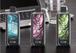 Feela Nic 40K Disposable (40,000 Puffs)