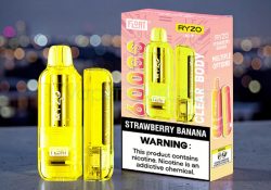 Float Ryzo 60K Disposable 60000 puffs