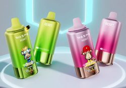 WASPE & Remit 4-in-1 100K Disposable 100,000 puffs